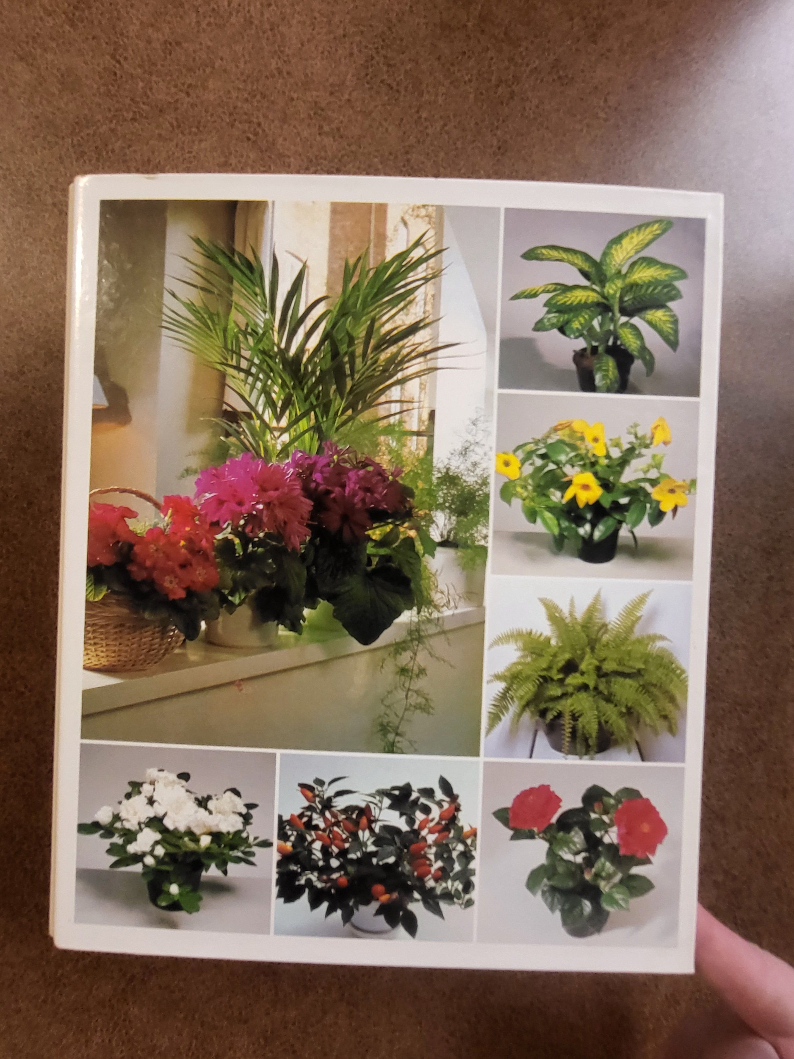 Success with Houseplants (Binder Edition)