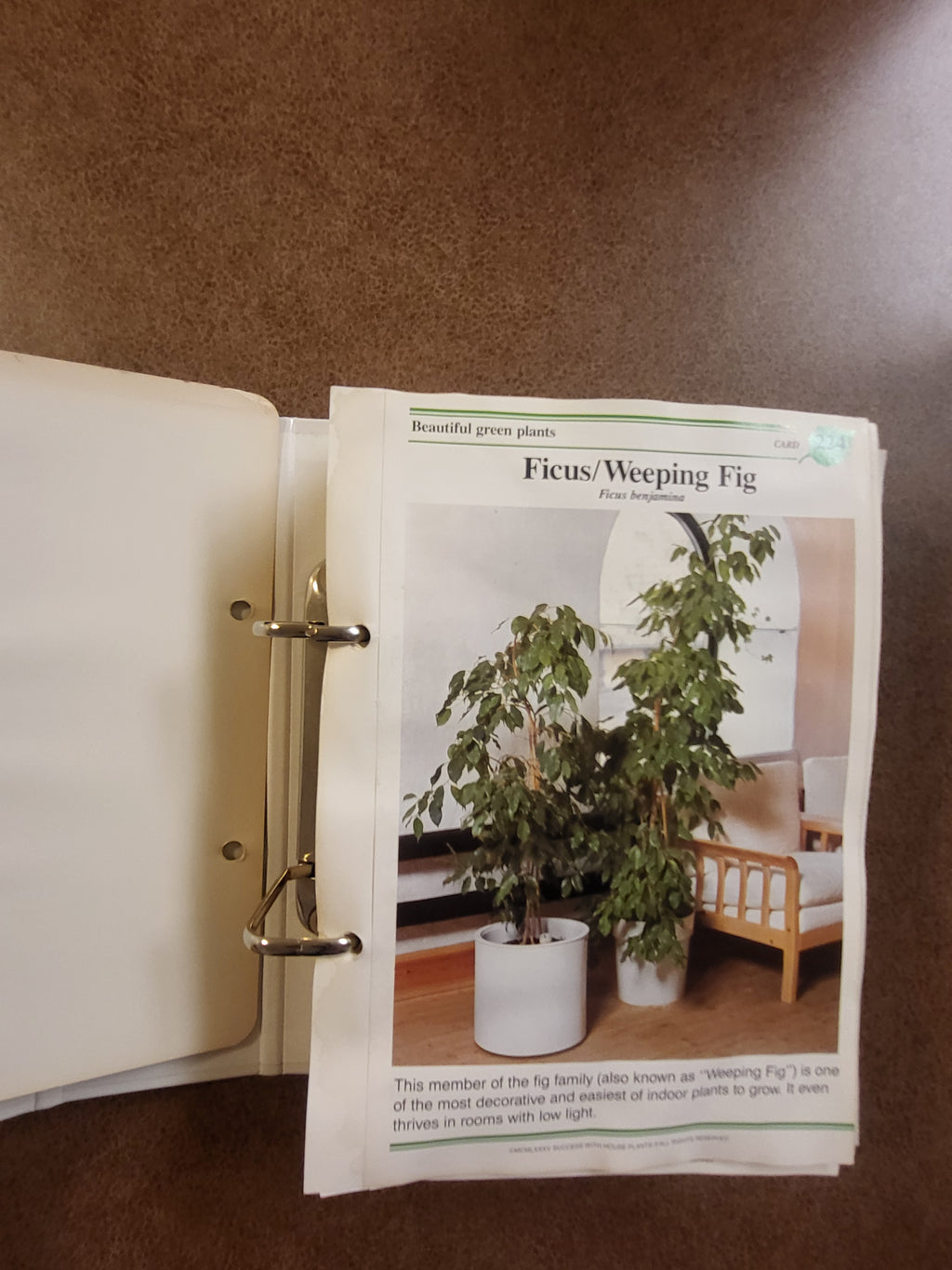 Success with Houseplants (Binder Edition)