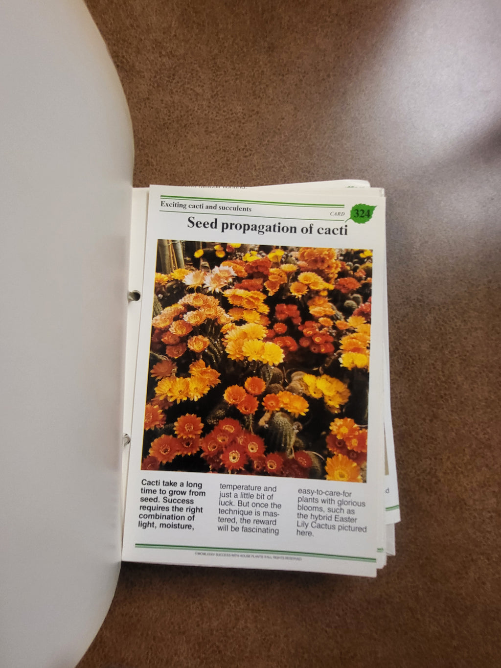 Success with Houseplants (Binder Edition)