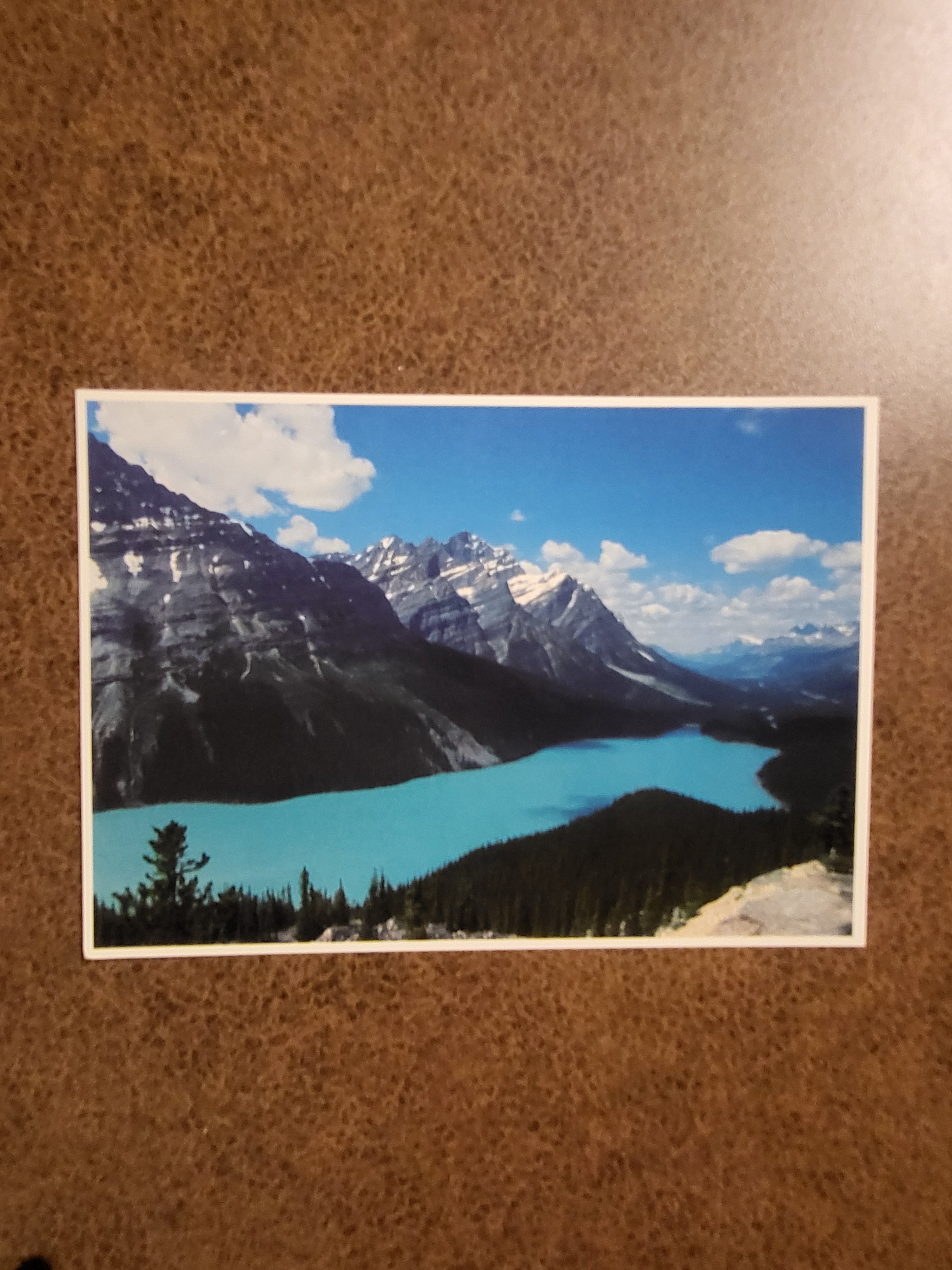 Vintage Peyto Lake Banff Jasper Highway Alberta Canada Scenic Postcard