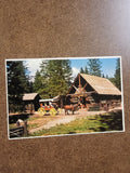 1970s Pioneer Yosemite History Center Postcard Wawona Yosemite National Park California