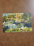 1930s A Charming Lily Pool in the Heart of Florida Postcard Tichnor Bros Linen Postcard