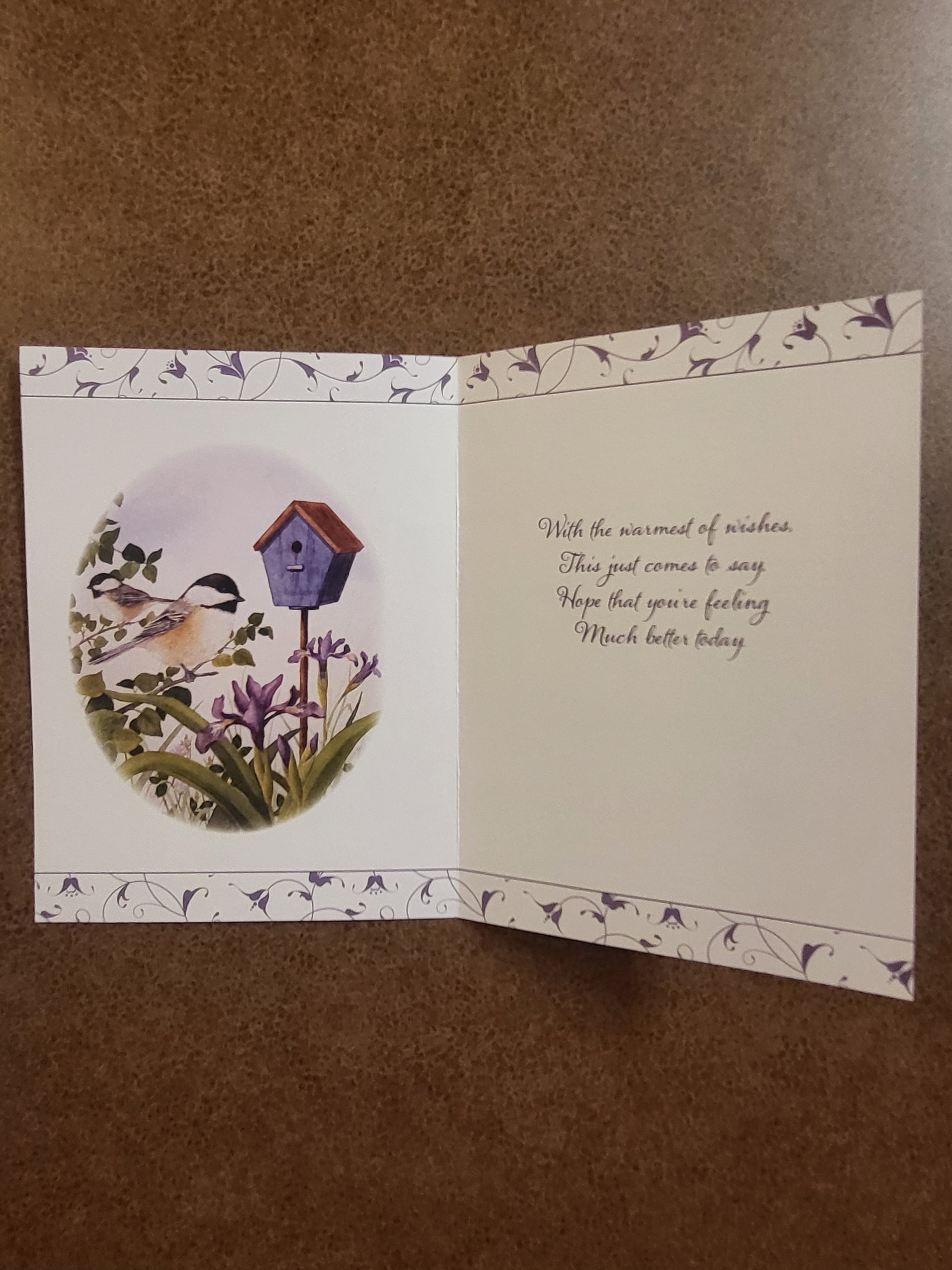 Birds - Get Well Soon - Greeting Card